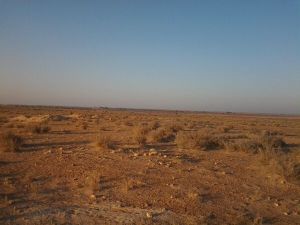 A land for sale in Sfax Great opportunity