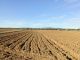 AV  hectare sur la route à sidi said bouficha 99958728