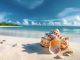 01 ha not to be missed near kelibia