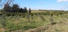 nabeul terrain agricole cloturé a deux hec 7000 m