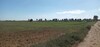 terrain agricole de un hec et 6000m