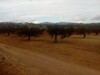 A sidi jedidi hammamet 3 hectares a 10 min de hammamet route acce