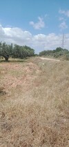 a sidi saaid bouficha terrain agricole de 2 hec sur la route