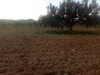 Terrain de 6200m a la compagne dans un quartier calme