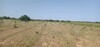 Terrain agricole de un hec et 1000m