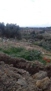 3 hec et 3000m de centre ville hammamet