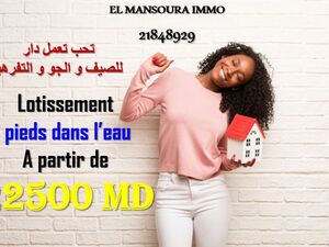 votre future terrain a plage dar alouche kélibia