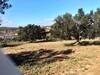 un lot de terrain de 4500m²