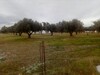 terrain avec plan 290m