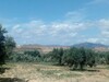 terrain de 1000m avec très belle vu de mer