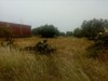 un terrain de 1000m² a borj hafaydh