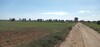 terrain agricole un hec et 6000m