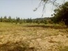terrain de 6000m dans un endroit calme