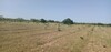 Terrain agricole un hec et 1000m