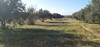 A vendre a hamammet lots de terrain 1500m