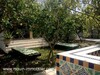 DAR BONDOUKA 2 Hammamet  Zone Theatre A