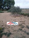 Terrain agricole de 6 hectares a el haouaria cap bon