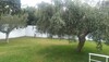 Villa MOLKARéf:  Villa avec jardin