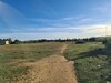 Terrain Dana AV à Latrach Birouregba