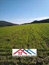 Terrain de 2476 a entoure el haouaria
