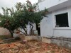AV une maison inachevée a H ammamet