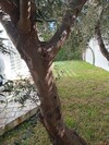 Appartement Badira Ba AL à Hammamet Nord