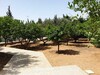 VILLA THE PEACE ABF Hammamet Nord A