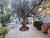 Maison Fedy AL à Hammamet zone Ribat