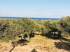 A vendre un lot de terrain a Dhar RA