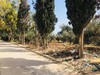 un lot de terrain AV à hammamet nord mrezgua