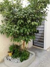Appartement SIRENA Appartement SIRENA