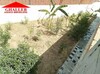 Une coquette maison située a Hammamet AV RA