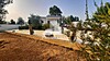 MAISON A LA CAMPAGNE DE HAMMAMET SQ