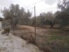 terrain à bâtir zone craxi de hammamet nord
