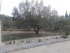 1000 م² بالحمامات الشمالية