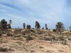 A vendre terrain de 760 m² avec un titre foncier à Djerba ghizen