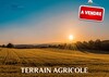 DES LOTS DE TERRAIN AGRICOLE