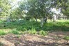 Wooded land for villa between Hammamet and Birbouragba