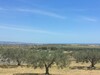 Terrain avec vue magnifique sur mer et verdure