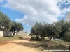 Vente Terrain Oust Hammametnorde