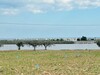 Terrain à vendre avec vue mer légère