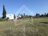 Un superbe terrain à vendre à Hammamet