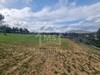 Terrain de 1 hectare à vendre à 170 MD