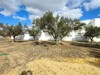 Terrain de 220 m² à vendre à 120 MD à Mrezga