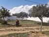 Un superbe terrain de 320 m² à vendre à 80 MD à Hammamet