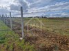 Un superbe terrain de 1 hectare à vendre à 170 MD