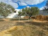 Joli terrain de 220 m² à vendre à 120 MD à Mrezga