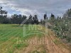 A vendre à 660 MD un terrain de 5042 m²