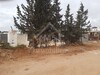 A vendre à 200 MD à Hammamet Zone Craxi un terrain à 100 MD