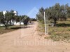 Un terrain à vendre à Hammamet deux lots de terrain à 530 dtm²